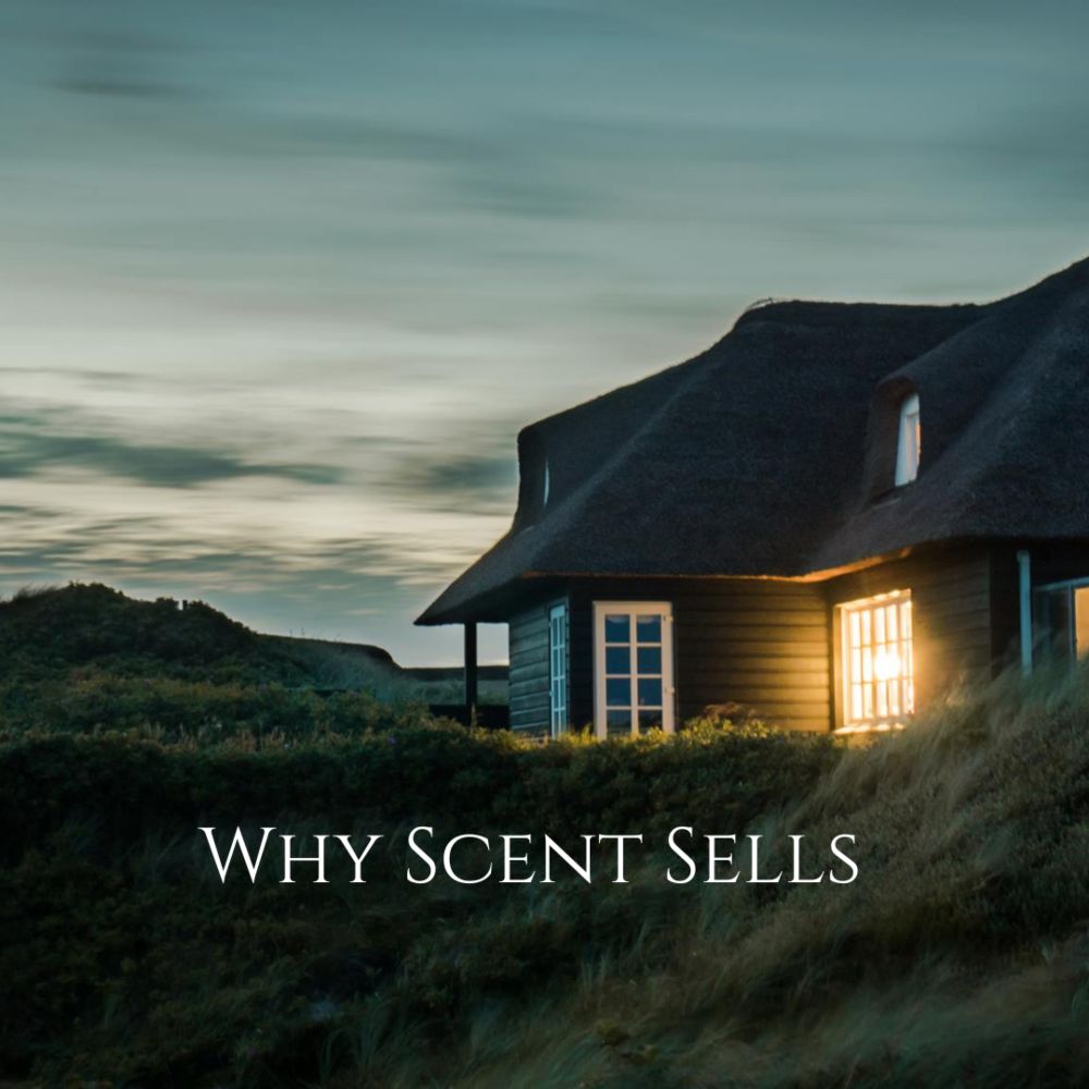 The Power of Scent: From Estate Agents to Luxury Hotels